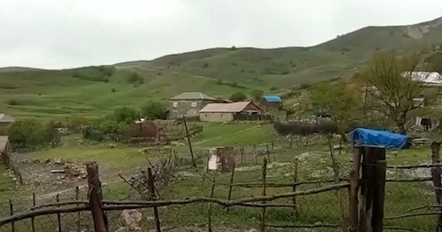 Qubada canavarlar kəndə hücum etdilər