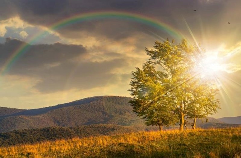 Sabah 13 dərəcə isti olacaq - 12.03.2026